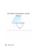 Information System Project Assignment.pdf
